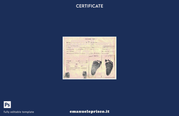stile verificato Modello di record statistico del certificato di nascita